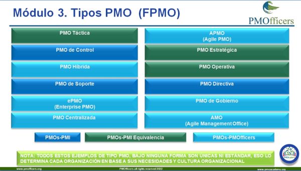 Certificación PMO INGENIERIA PROFESSIONAL (ESP) - Imagen 8